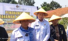 Kakanwil Ditjenpas Sebut Panen Raya di Lapas Indramayu Sebagai Bentuk Kontribusi Nyata Swasembada Pangan Nasional